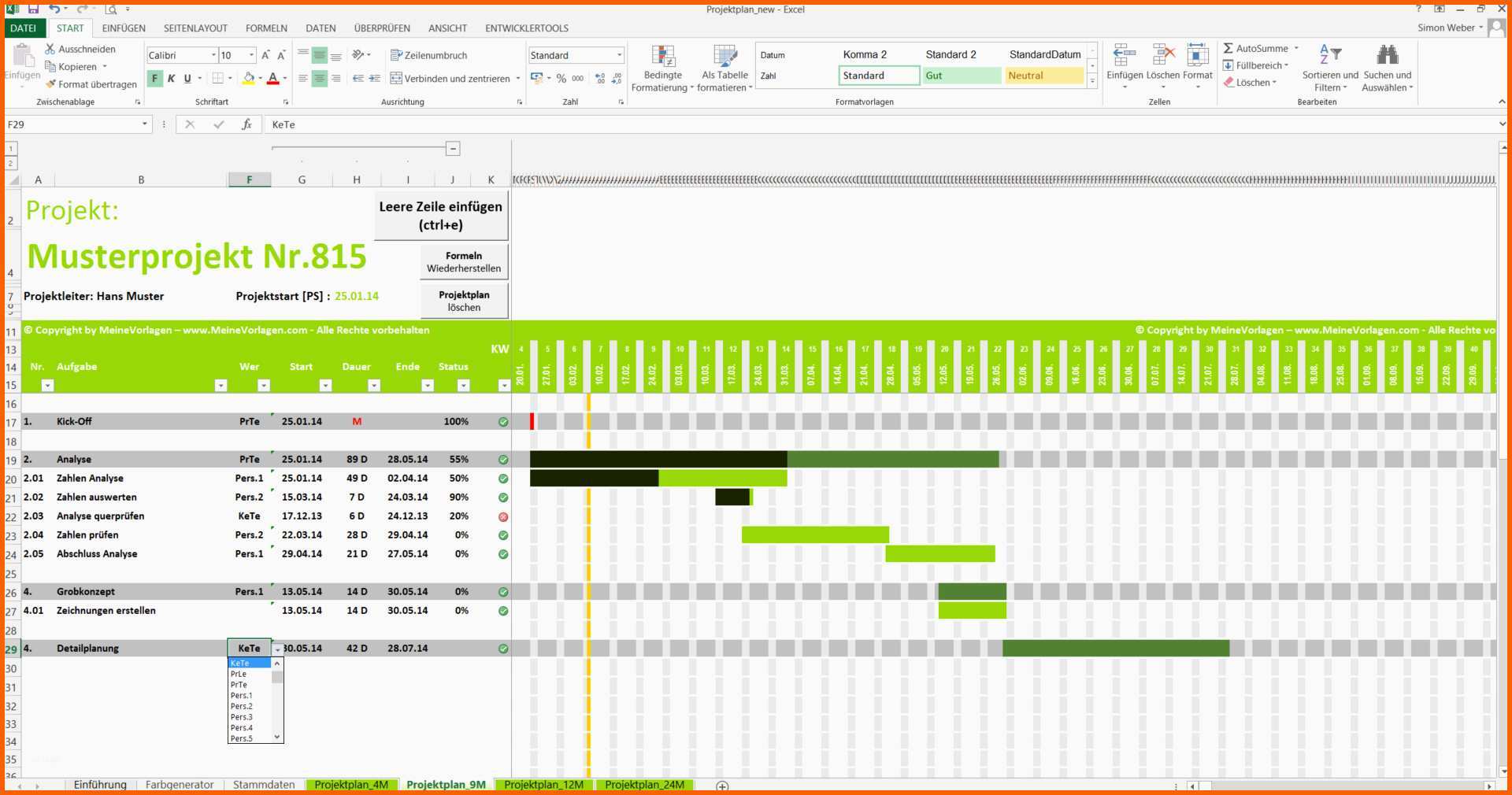 Limitierte Auflage Projektplan Excel