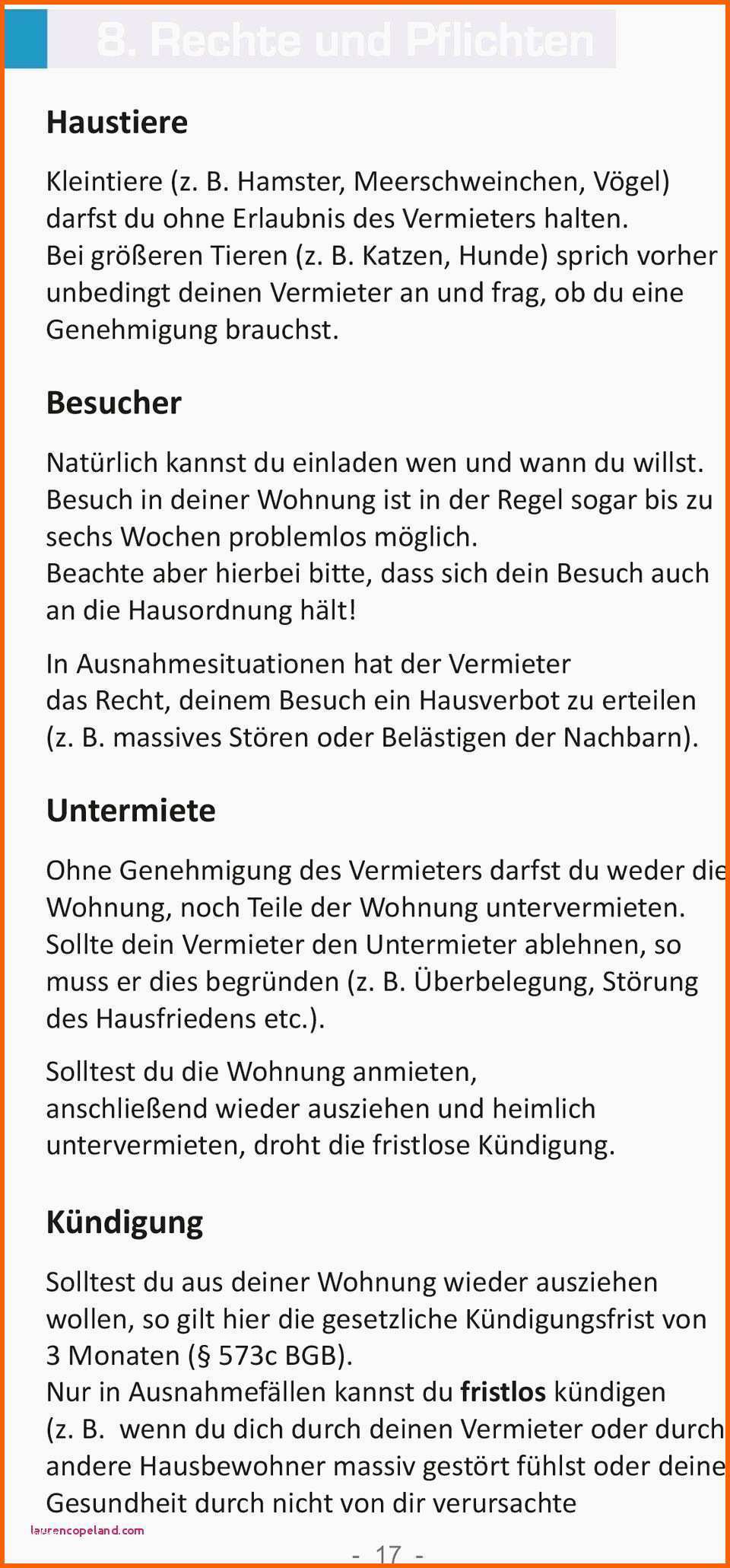 Limitierte Auflage Putzplan Treppenhausreinigung Vorlage Reinigungsplan Küche