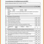 Limitierte Auflage Rauchmelder Protokoll Vorlage Papacfo
