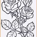 Limitierte Auflage Rosen Malen Vorlagen