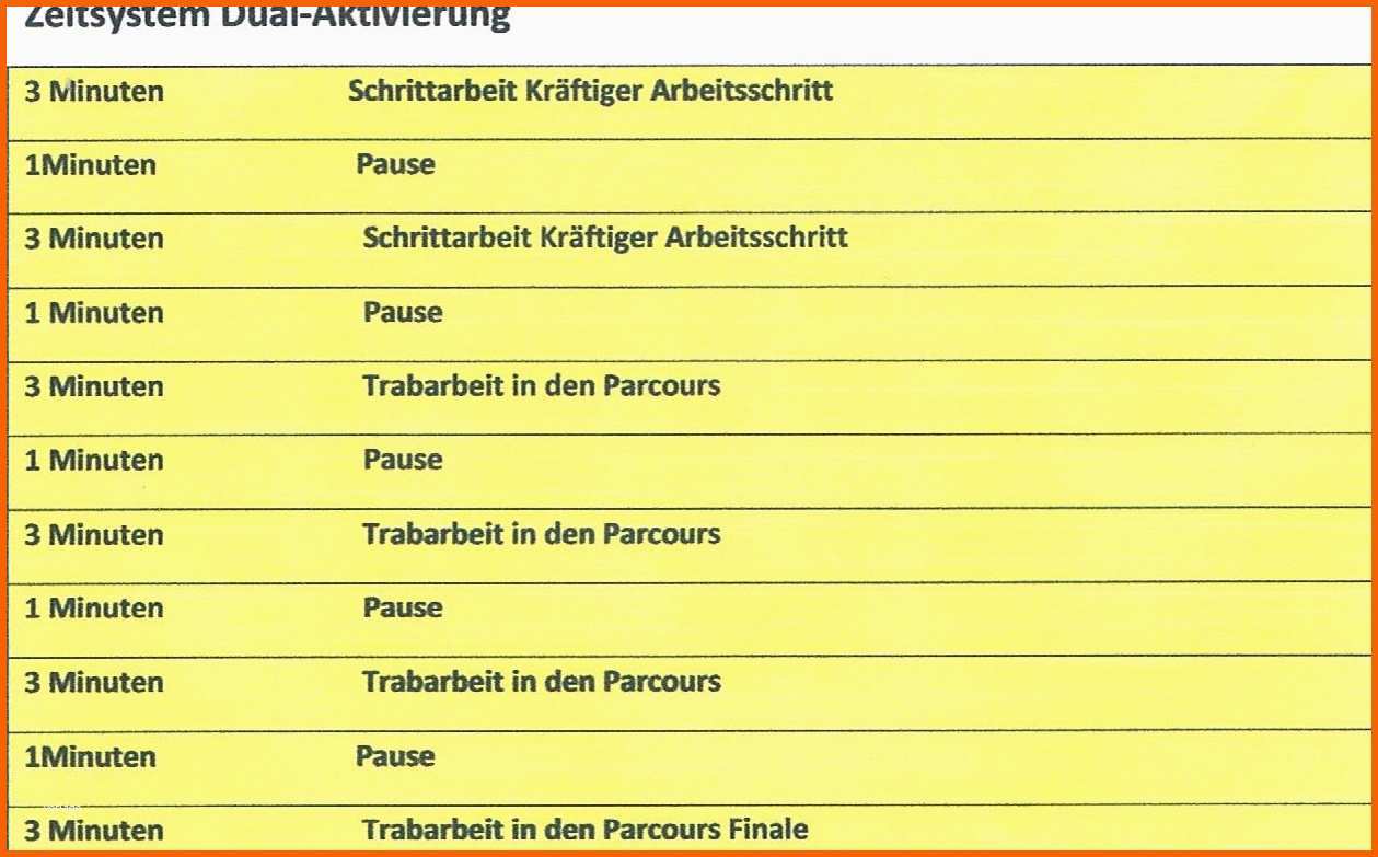 trainingsplan pferd vorlage