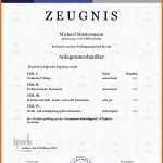 Limitierte Auflage Zeugnisse Einfach Online Kaufen