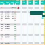 Modisch 11 Projektplan Excel Vorlage