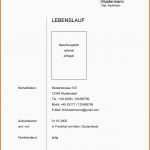 Modisch 15 Deckblatt Lebenslauf Vorlage