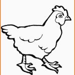 Modisch Ausmalbilder Malvorlagen – Huhn Kostenlos Zum Ausdrucken