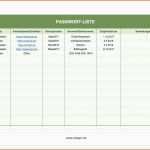 Modisch Bauzeitenplan Vorlage Download Kostenlos Gut Großartig