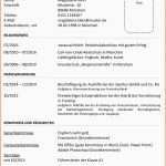 Modisch Beispiele Lebenslauf Positive Und Negative Beispiele