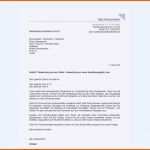 Modisch Die Fabelhaften Xing Deckblatt Vorlage