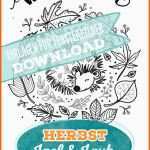 Modisch Igel Mit Herbstlaub – Bines Shop