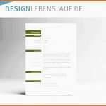 Modisch Lebenslauf Muster Download Open Fice Mit Stunning