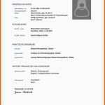 Modisch Lebenslauf Muster Für Erfolgreiche Bewerbung