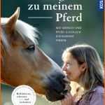 Modisch Pferd Basteln Vorlage Neu 10 Wege Zu Meinem Pferd