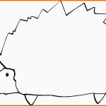 Modisch Skizze Igel Ausmalbild &amp; Malvorlage Tiere