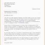 Modisch Vorlage Englischer Lebenslauf Ment Schreiben Englisch