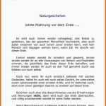 Neue Version 11 Vorlage 1 Mahnung