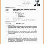 Neue Version 13 Cv In English Vorlage