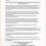 Neue Version 14 Charakterisierung Vorlage