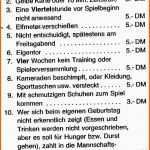Neue Version 1993 Ah Strafenkatalog