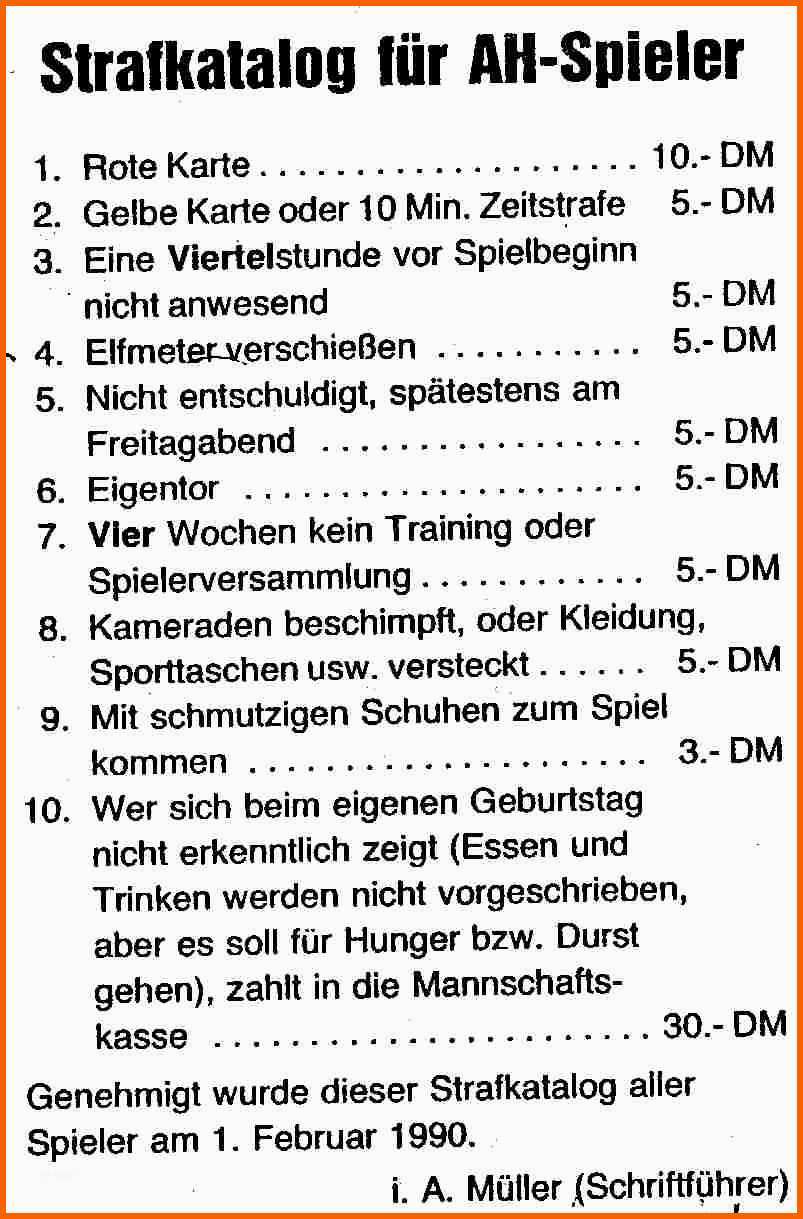 Neue Version 1993 Ah Strafenkatalog