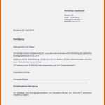 Neue Version 20 Kündigung Versicherung Vorlage Word