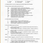 Neue Version 20 Testament Vorlage Alleinerbe