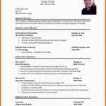 Neue Version Die Besten 25 Curriculum Vitae In English Ideen Auf