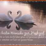 Neue Version Glückwunschkarte Hochzeit Die Besten Wünsche Zur Hochzeit