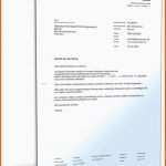 Neue Version Konformitätserklärung Vorlage Pdf Einzeltestament Muster