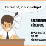 Neue Version Kündigungsschreiben Arbeitnehmer Muster Und Tipps