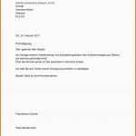 Neue Version Kündigungsschreiben Vorlage Arbeitnehmer Schweiz