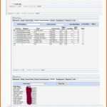 Neue Version Mitarbeiterbeurteilung Vorlage Excel Inspirierende