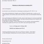 Neue Version Muster Kassenbericht Verein