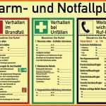 Neue Version Muster Notfallplan
