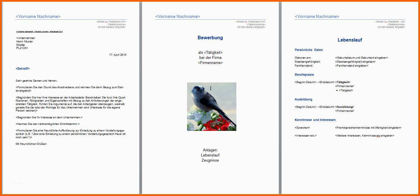 Neue Version Planet Beruf Bewerbung Vorlage Innerhalb Recent Planet