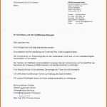 Neue Version Schreiben Versicherung Schadensregulierung Vorlage