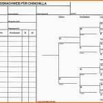 Neue Version Stammbaum Vordruck Kostenlos