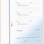 Neue Version Testament Muster Alleinerbe Einzigartig Testament