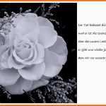 Neue Version Trauerkarte Trost 89 898 Klicks Foto &amp; Bild