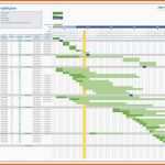 Neue Version Vorlage Projektplan Excel