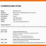 Original 12 Vorlage Cv English
