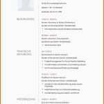 Original 15 Bewerbung Schülerjob Muster