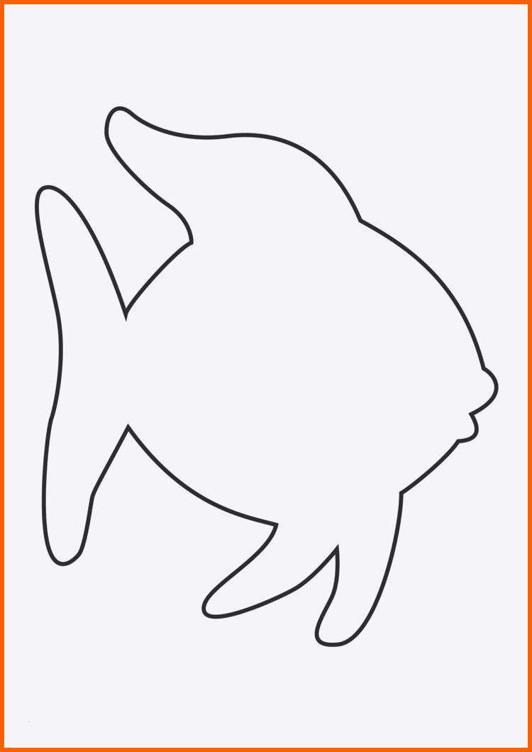 Original 45 Fische Vorlagen Zum Ausdrucken