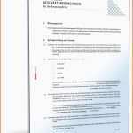 Original Agb Für Eine Beratungsfirma Muster Vorlage Zum Download