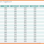 Original Brillenpanda Sehweiten Tagebuch – Excel Vorlage