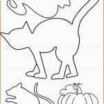 Original Drachen Basteln Vorlage Wochenbericht Vorlage