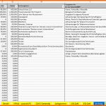 Original Excel Vorlage EÜr 2016 Pierre Tunger