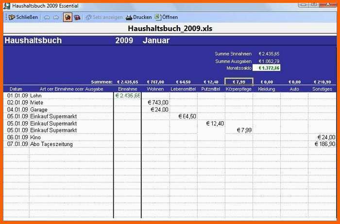 Original Excel Vorlage Haushaltsbuch 2009 Download