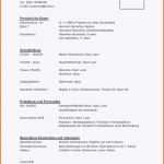 Original Genial Vorlage Bewerbung Praktikum Meinung Für