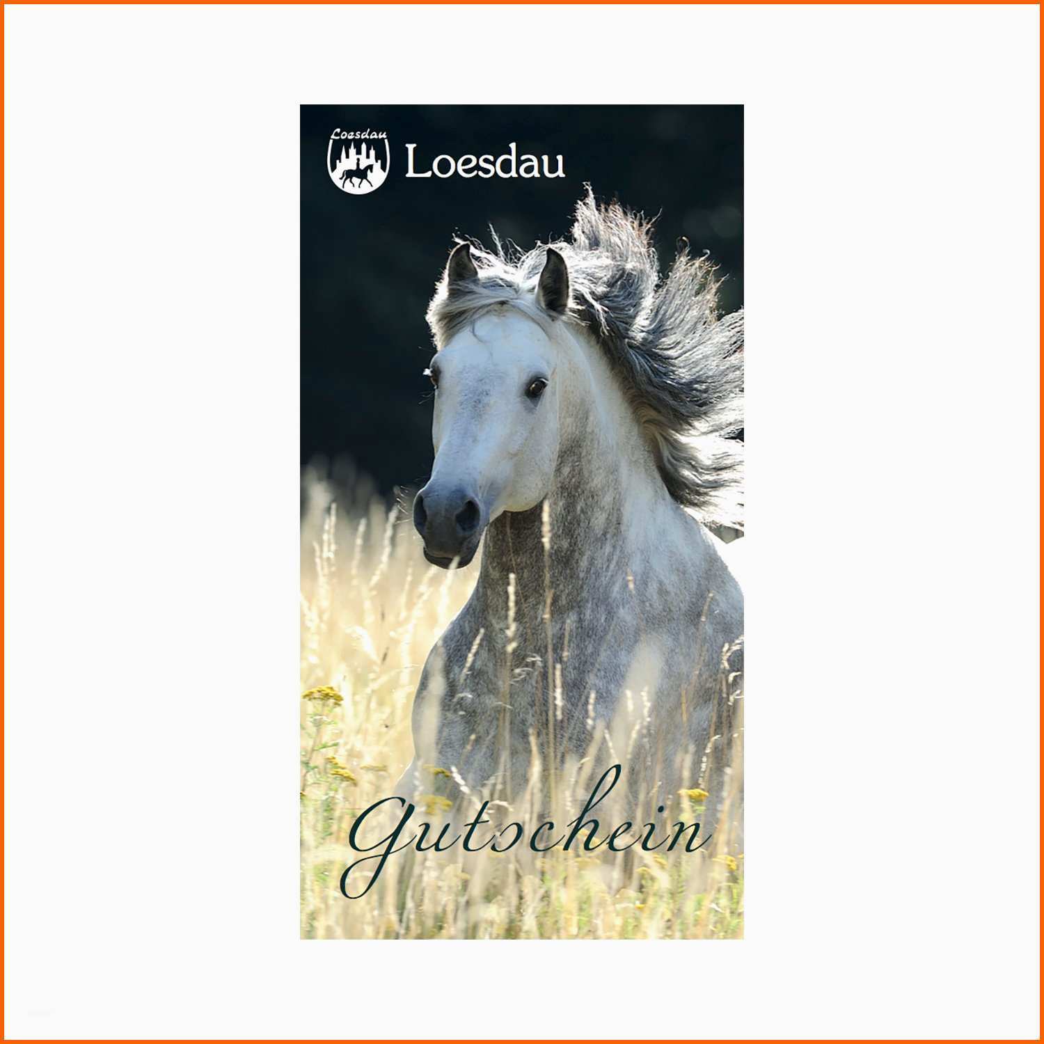 Gutschein Für Reitstunden Vorlage Kostenlos : V Gutschein für ein