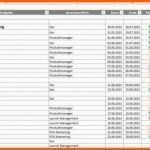 Original Projektstrukturplan Vorlage Excel Kostenlos Papacfo